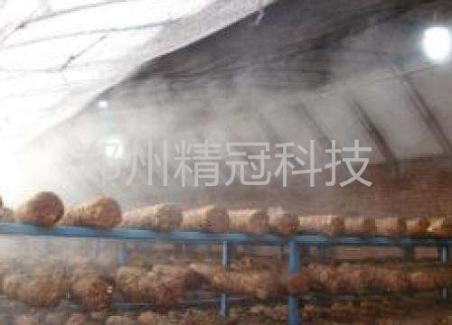 1602551285824144.jpg 002.jpg