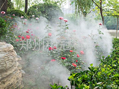 1603270489133063.jpg 1.jpg