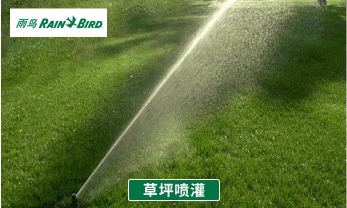 c6395557d39aad9637236aed8e06d32.jpg
