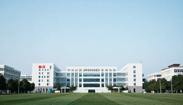 软件研发服务的适用场景与限制分析